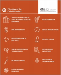 Fig2-Revised-BSCI-Code-of-Conduct