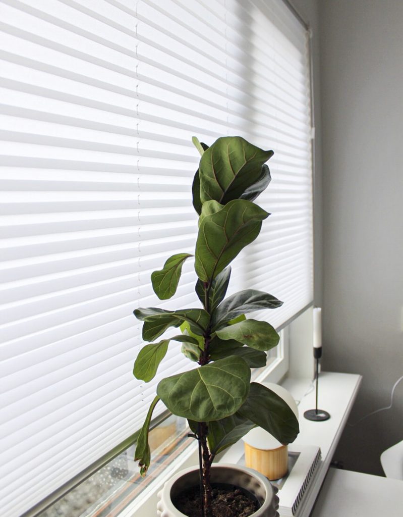 Free-hanging pleated blind F1, made-to-measure, white screening